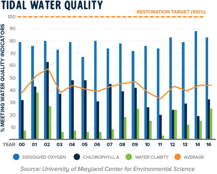 Tidal Water Quality